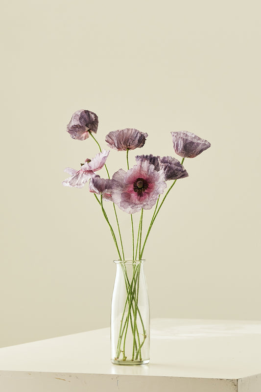 Kornvalmue 'Amazing Grey' - frø - 1-årige sommerblomster - til din skærehave her vist på billede 2 fra Frk. Grønt