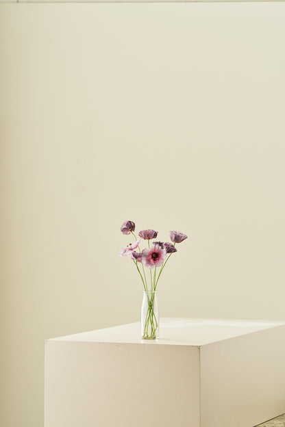 Kornvalmue 'Amazing Grey' - frø - 1-årige sommerblomster - til din skærehave her vist på billede 7 fra Frk. Grønt