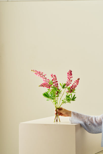 Lupin 'Gallery Pink Shades' - frø - Stauder - til din skærehave her vist på billede 8 fra Frk. Grønt