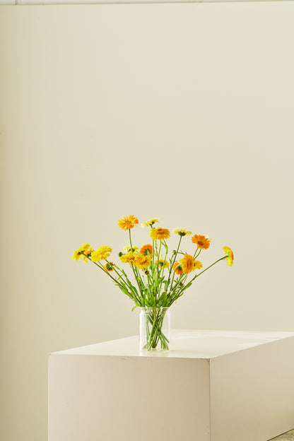 Morgenfrue 'Kringlet Formula Mixture' - frø - 1-årige sommerblomster - til din skærehave her vist på billede 7 fra Frk. Grønt