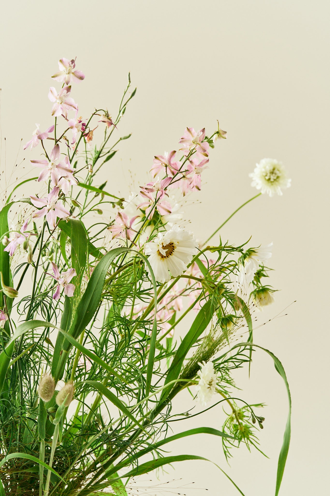 Nordic Bloom - Buketforslag - til din skærehave her vist på billede 10 fra Frk. Grønt