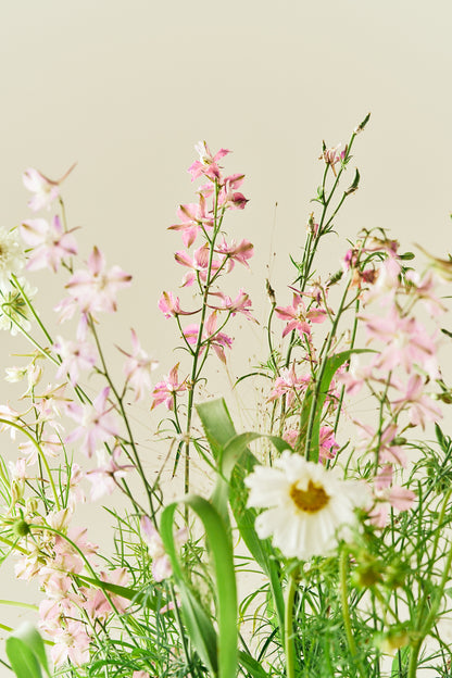 Nordic Bloom - Buketforslag - til din skærehave her vist på billede 2 fra Frk. Grønt