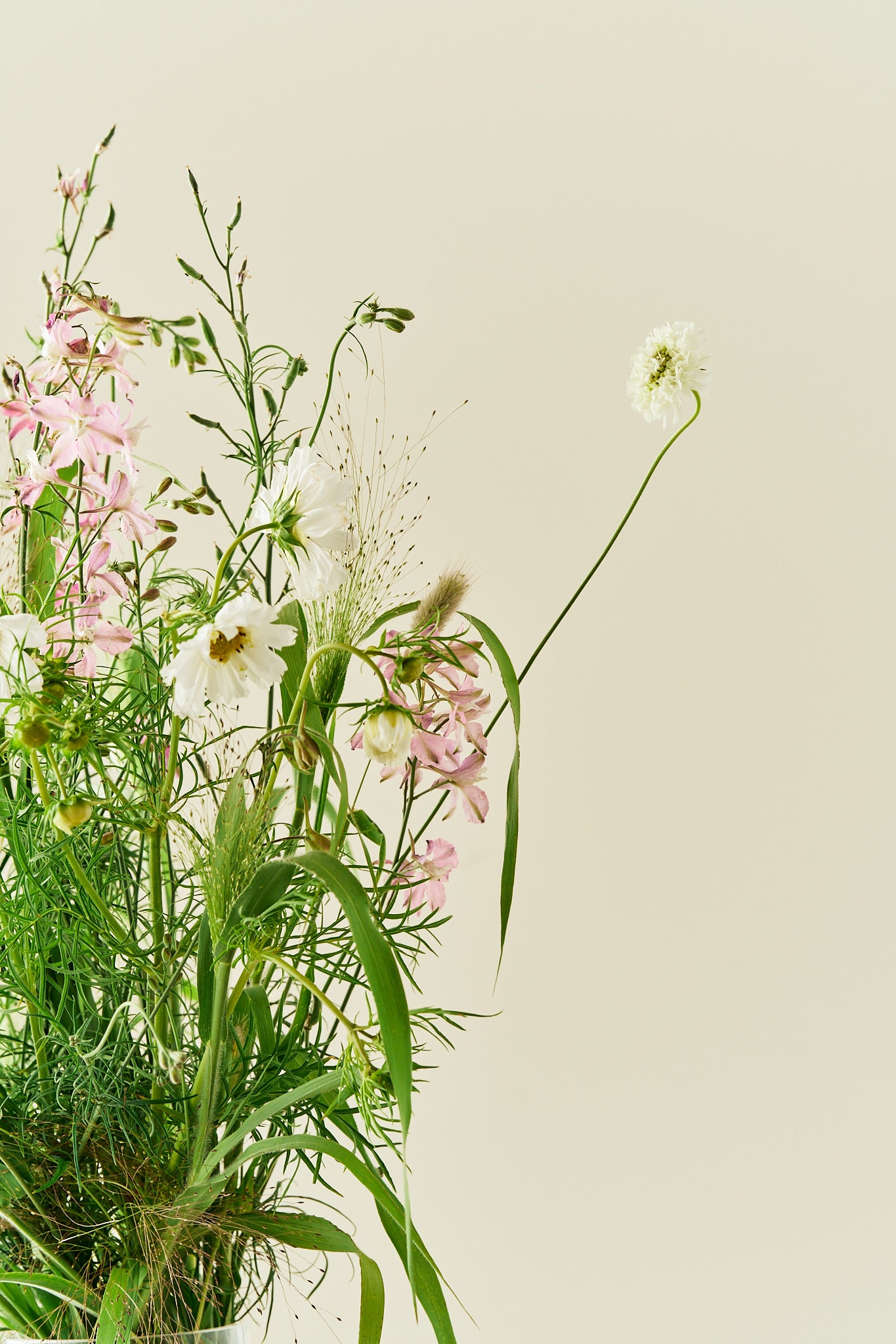 Nordic Bloom - Buketforslag - til din skærehave her vist på billede 3 fra Frk. Grønt