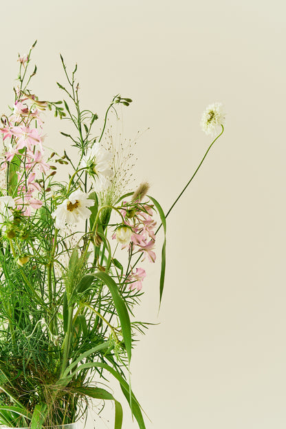 Nordic Bloom - Buketforslag - til din skærehave her vist på billede 3 fra Frk. Grønt
