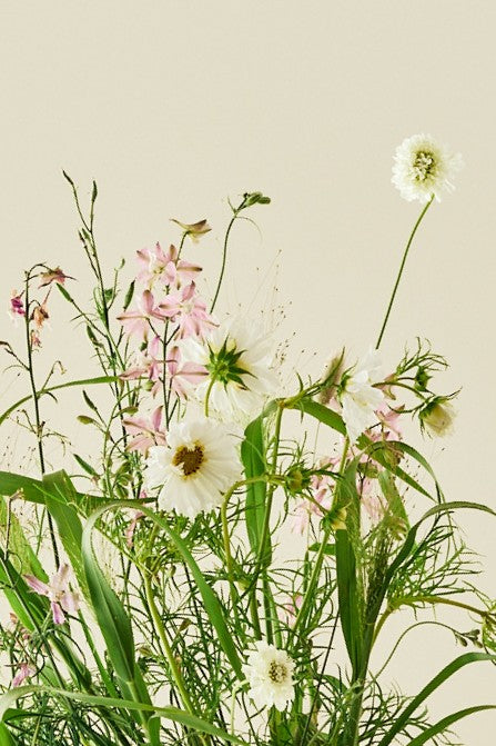 Nordic Bloom - Buketforslag - til din skærehave her vist på billede 5 fra Frk. Grønt