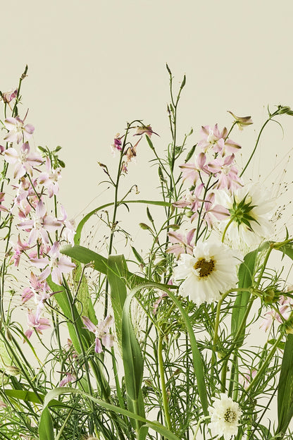 Nordic Bloom - Buketforslag - til din skærehave her vist på billede 6 fra Frk. Grønt