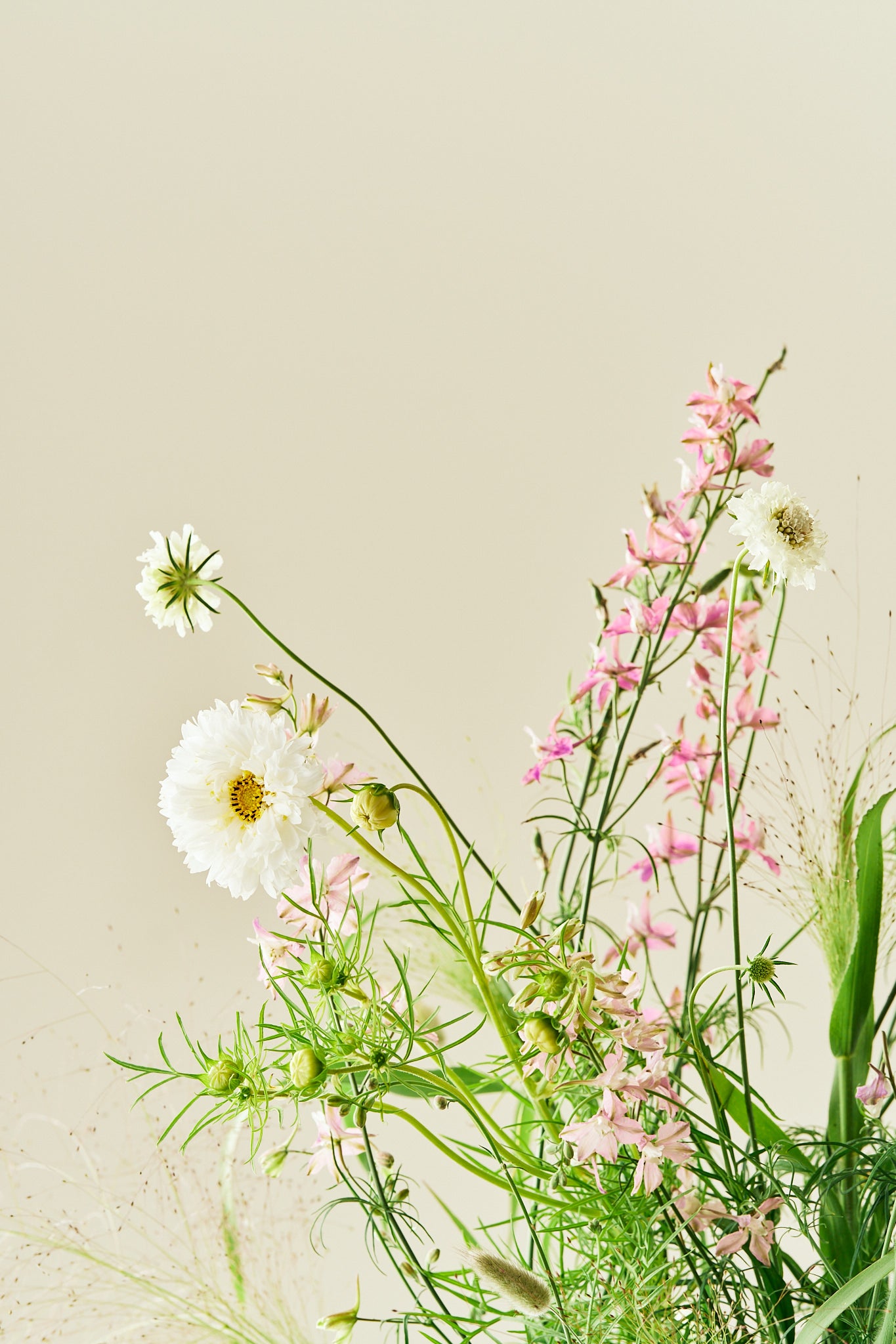 Nordic Bloom - Buketforslag - til din skærehave her vist på billede 9 fra Frk. Grønt