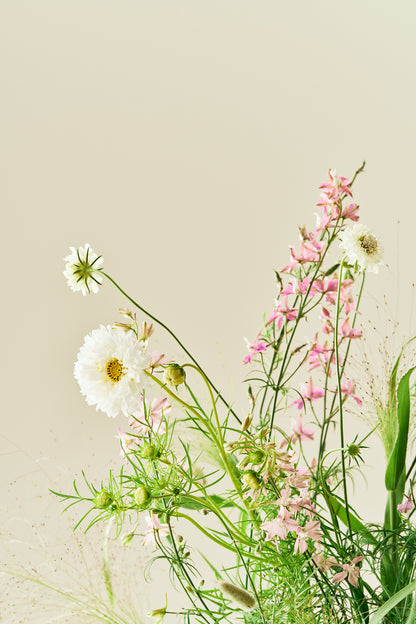 Nordic Bloom - Buketforslag - til din skærehave her vist på billede 9 fra Frk. Grønt