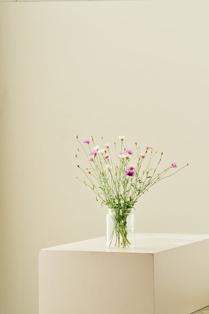 Papirblomst 'Mixture' frø - 1-årige sommerblomster - til din skærehave her vist på billede 6 fra Frk. Grønt