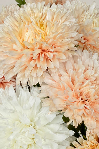 Sommerasters 'The Roses Mixture' - frø - 1-årige sommerblomster - til din skærehave her vist på billede 1 fra Frk. Grønt