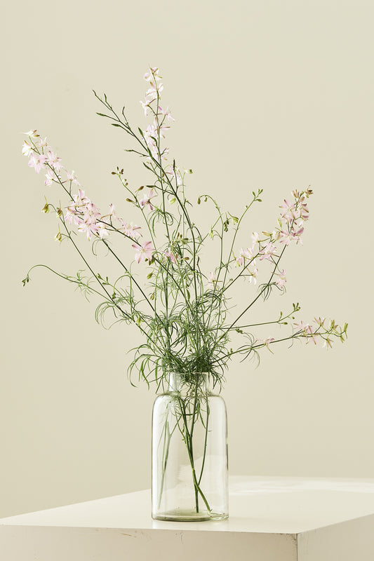 Sommerridderspore 'Fancy Belladonna' - frø - 1-årige sommerblomster - til din skærehave her vist på billede 2 fra Frk. Grønt