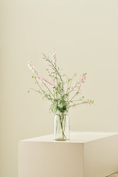 Sommerridderspore 'Fancy Belladonna' - frø - 1-årige sommerblomster - til din skærehave her vist på billede 6 fra Frk. Grønt