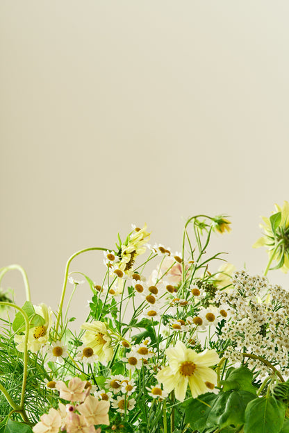 Summer Breeze - Buketforslag - til din skærehave her vist på billede 7 fra Frk. Grønt