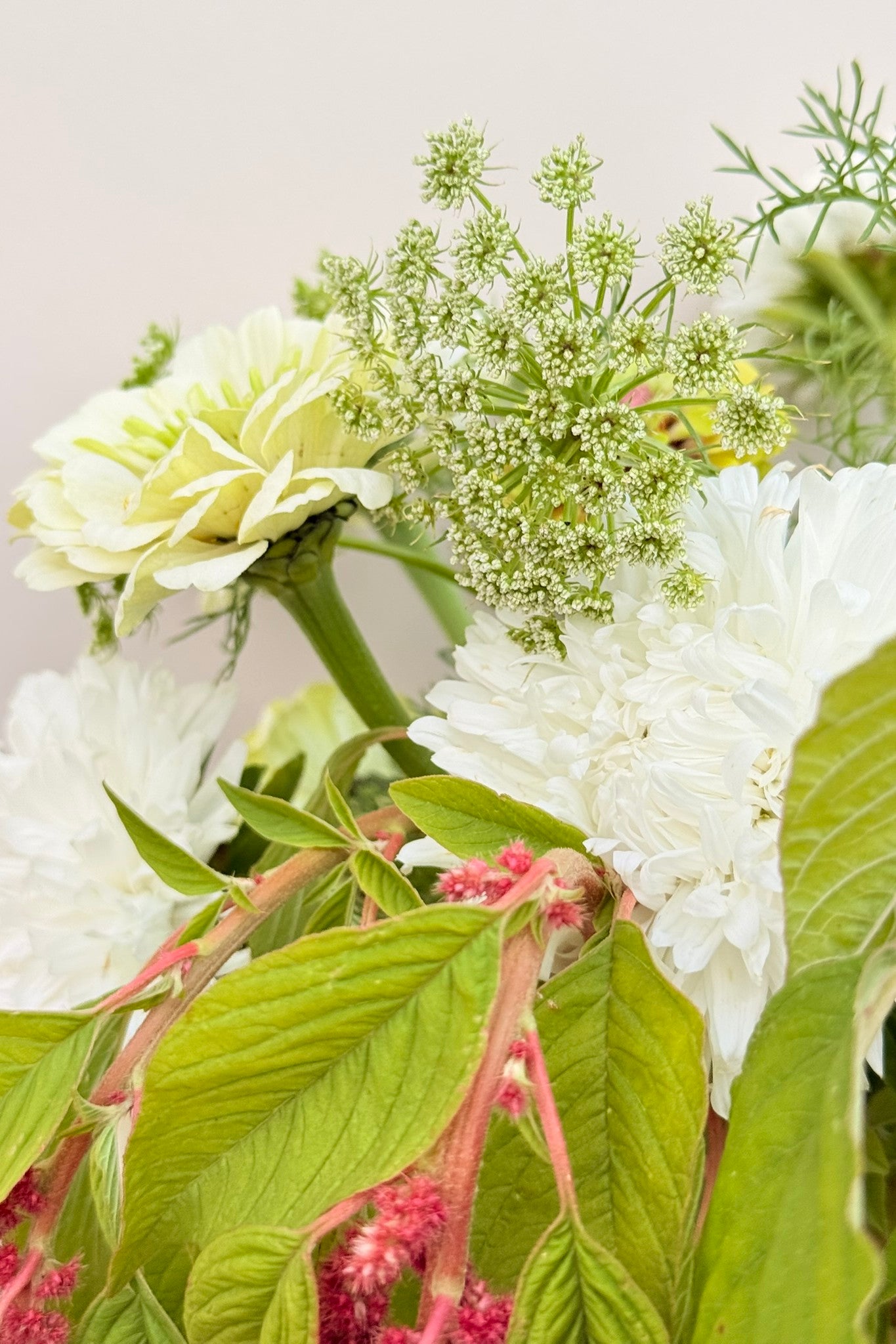 Whimsy Waterfall - Buketforslag - til din skærehave her vist på billede 11 fra Frk. Grønt