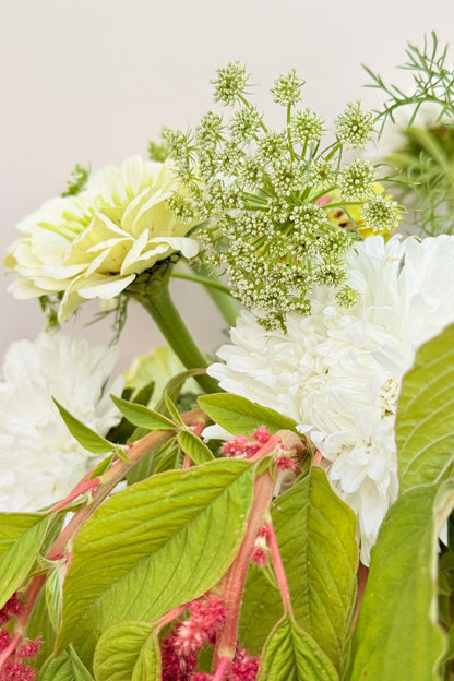 Whimsy Waterfall - Buketforslag - til din skærehave her vist på billede 11 fra Frk. Grønt