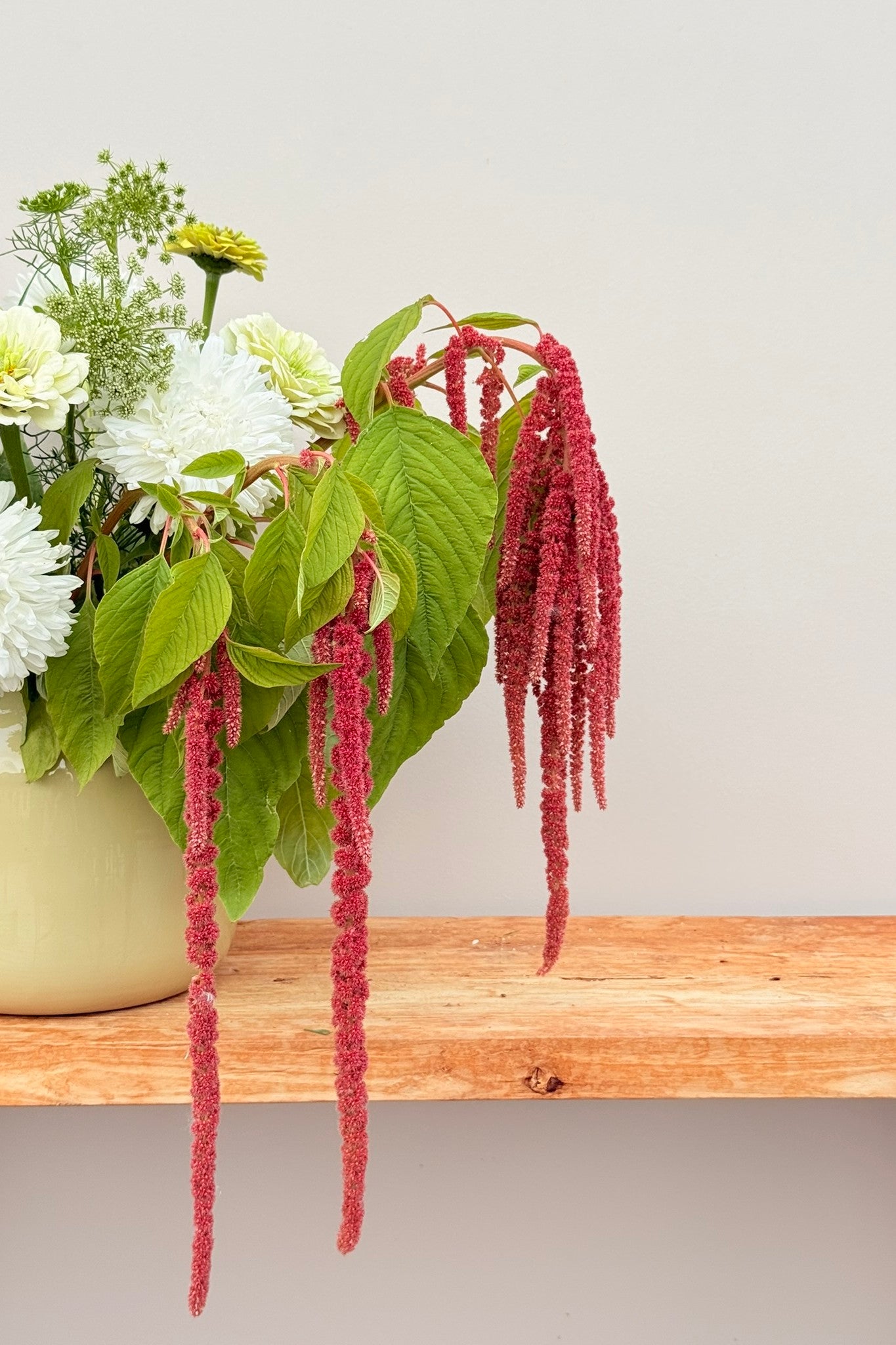 Whimsy Waterfall - Buketforslag - til din skærehave her vist på billede 12 fra Frk. Grønt