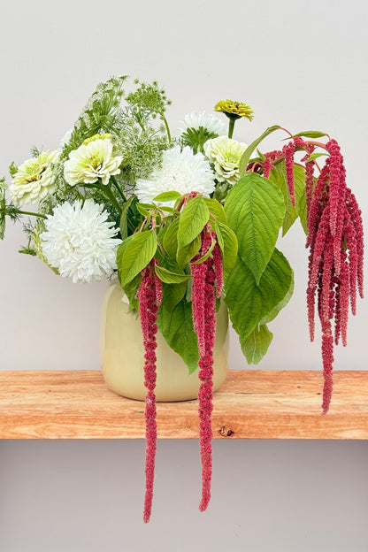 Whimsy Waterfall - Buketforslag - til din skærehave her vist på billede 1 fra Frk. Grønt