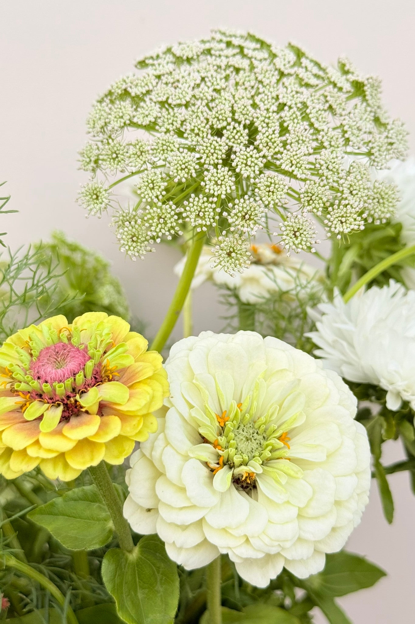 Whimsy Waterfall - Buketforslag - til din skærehave her vist på billede 3 fra Frk. Grønt