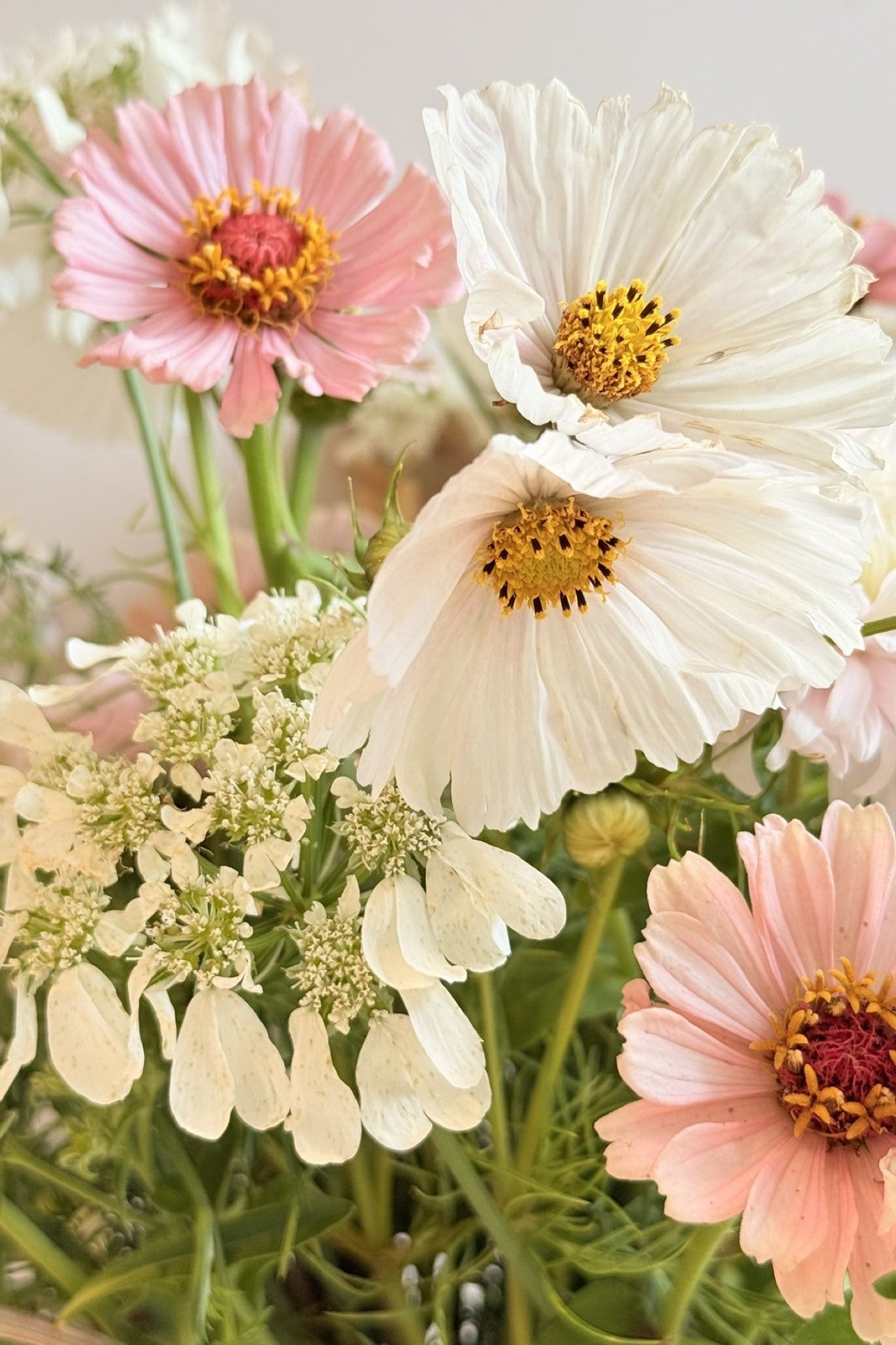 White Rosie Blush - Buketforslag - til din skærehave her vist på billede 2 fra Frk. Grønt