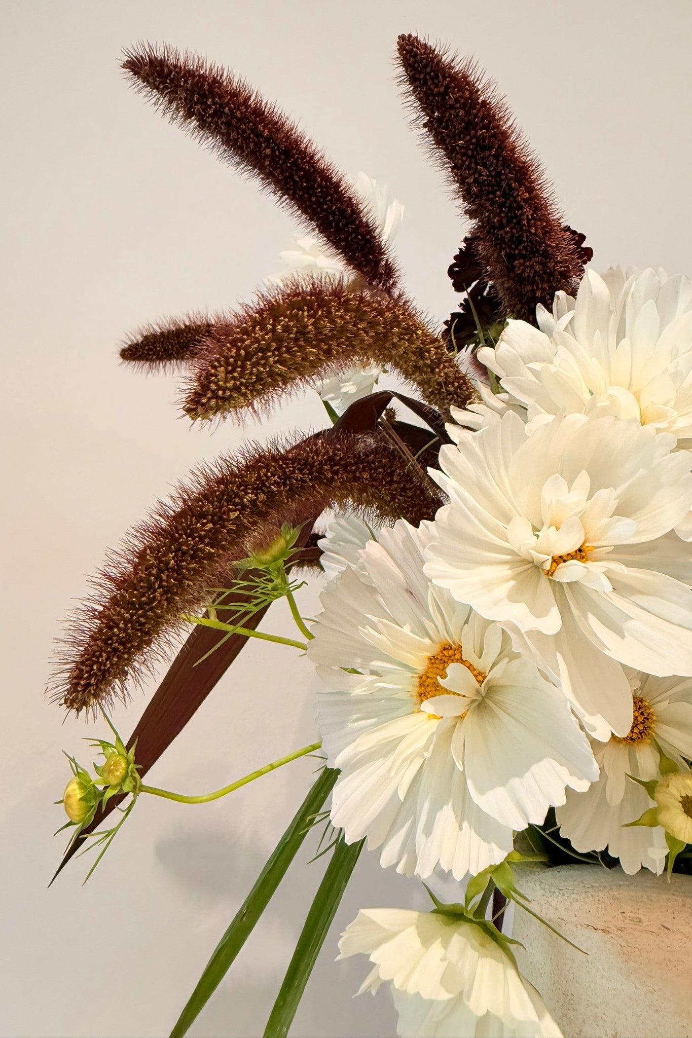 Wilderness - Buketforslag - til din skærehave her vist på billede 3 fra Frk. Grønt