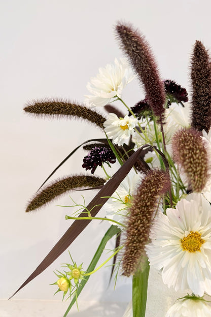 Wilderness - Buketforslag - til din skærehave her vist på billede 4 fra Frk. Grønt