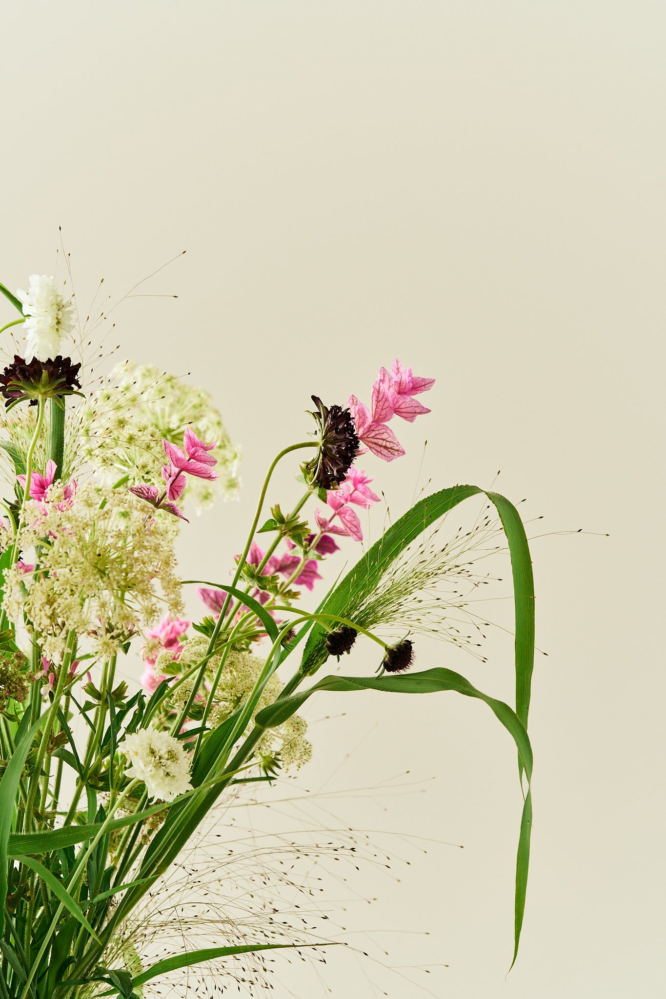 Wildflower Mix - Buketforslag - til din skærehave her vist på billede 3 fra Frk. Grønt