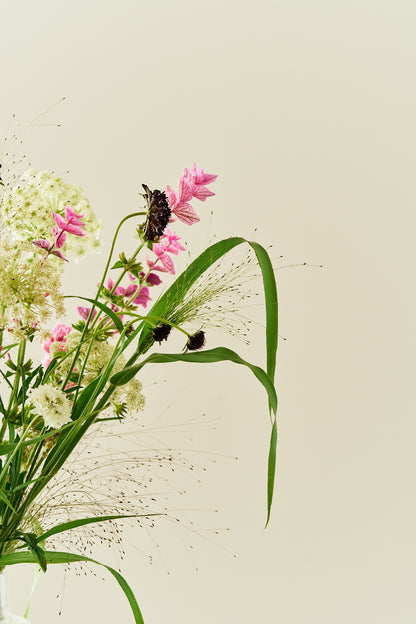 Wildflower Mix - Buketforslag - til din skærehave her vist på billede 4 fra Frk. Grønt