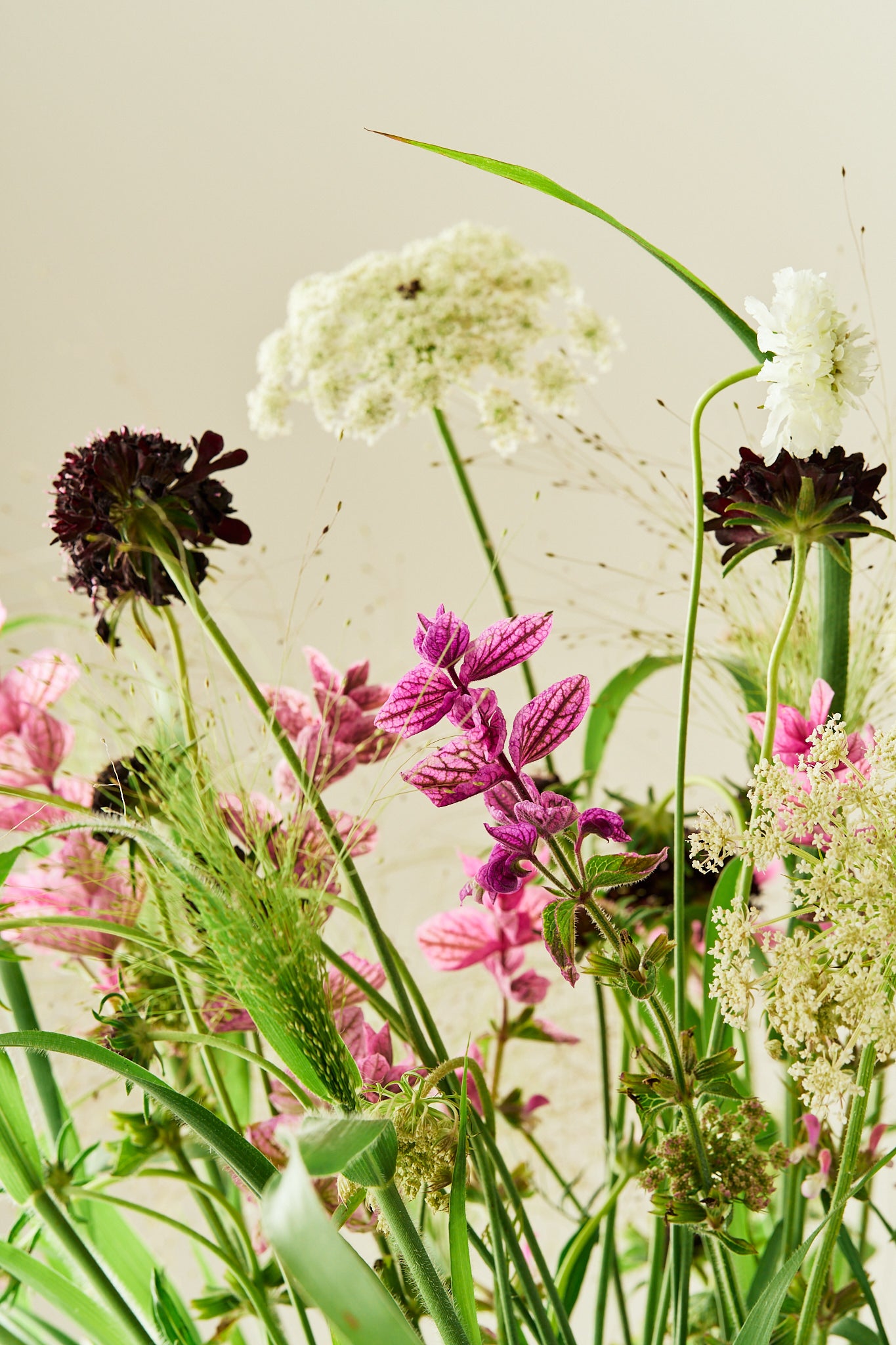 Wildflower Mix - Buketforslag - til din skærehave her vist på billede 7 fra Frk. Grønt