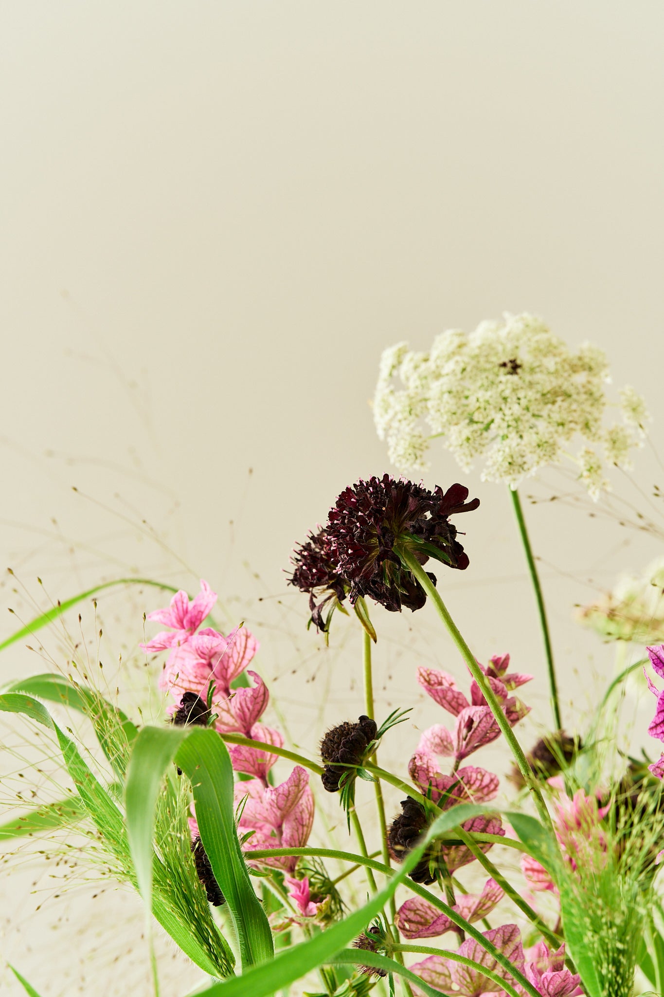 Wildflower Mix - Buketforslag - til din skærehave her vist på billede 8 fra Frk. Grønt