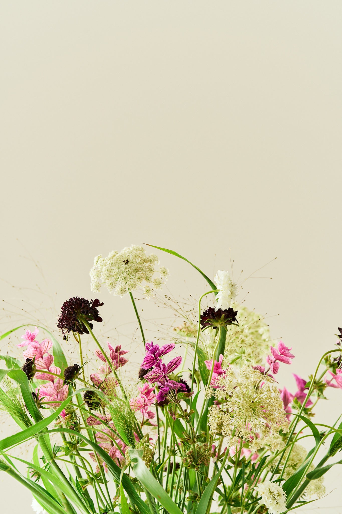 Wildflower Mix - Buketforslag - til din skærehave her vist på billede 9 fra Frk. Grønt