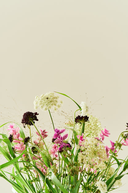 Wildflower Mix - Buketforslag - til din skærehave her vist på billede 9 fra Frk. Grønt